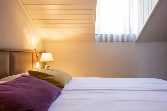 Alexandra Boutique Hotel Locarno D6A1470